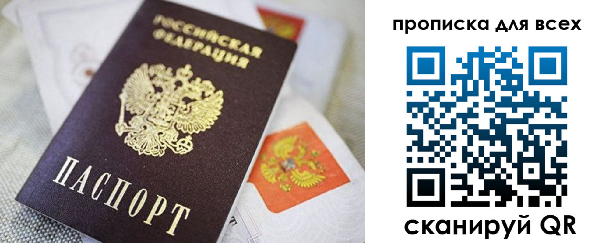 прописка поиск в Королёве